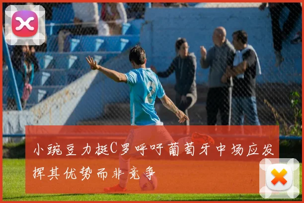 小豌豆力挺C罗呼吁葡萄牙中场应发挥其优势而非竞争