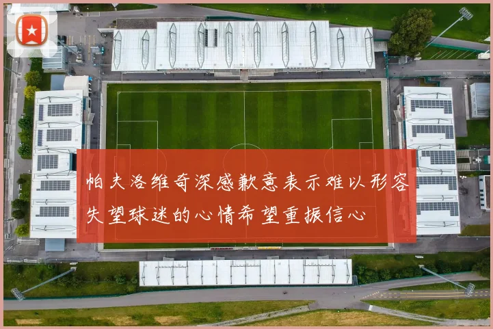 帕夫洛维奇深感歉意表示难以形容失望球迷的心情希望重振信心