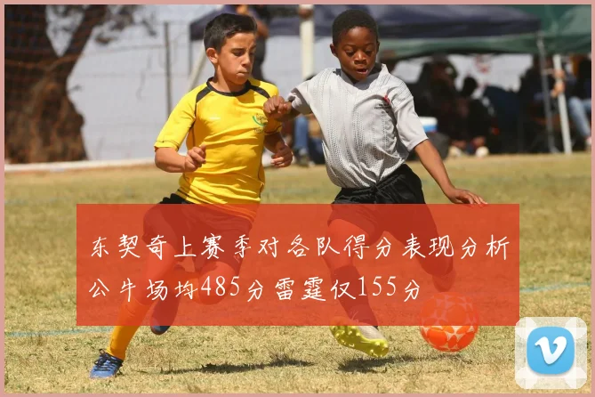 东契奇上赛季对各队得分表现分析公牛场均485分雷霆仅155分